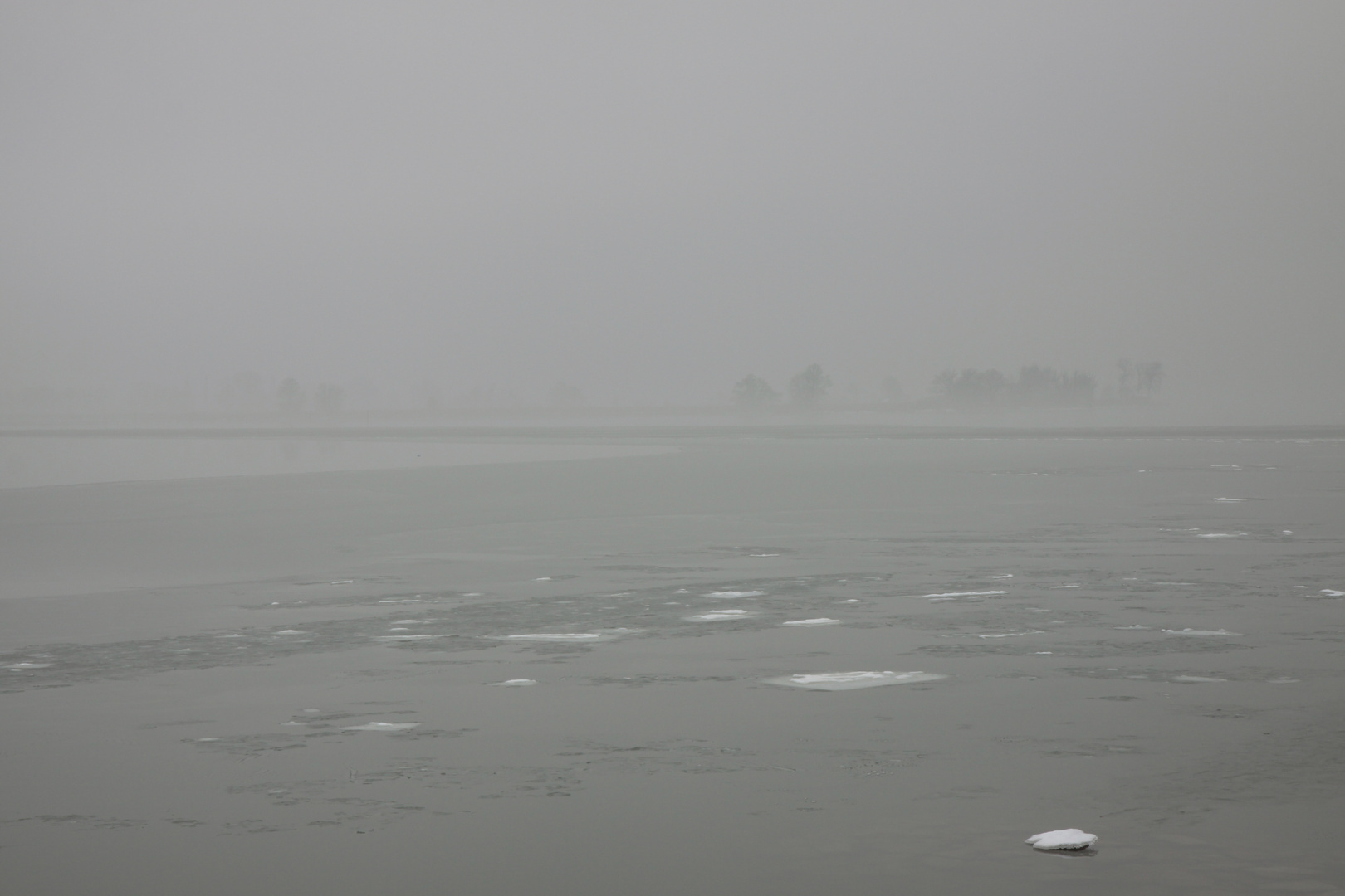 Der Bodensee als Nebelmeer