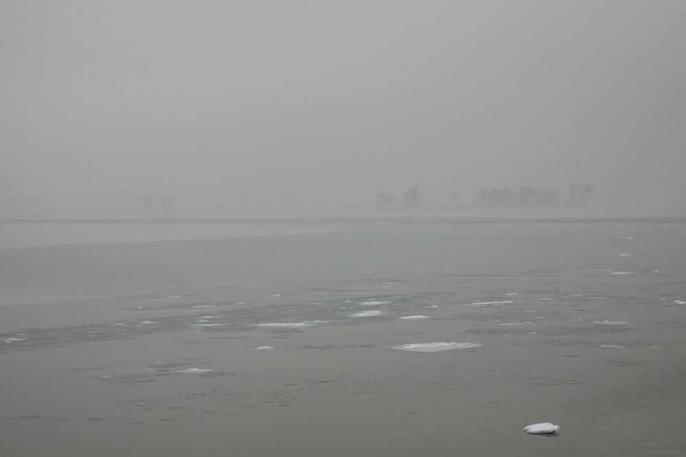 Der Bodensee als Nebelmeer