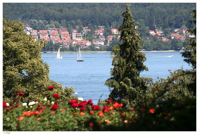 Der Bodensee aus Sicht der Insel Mainau!