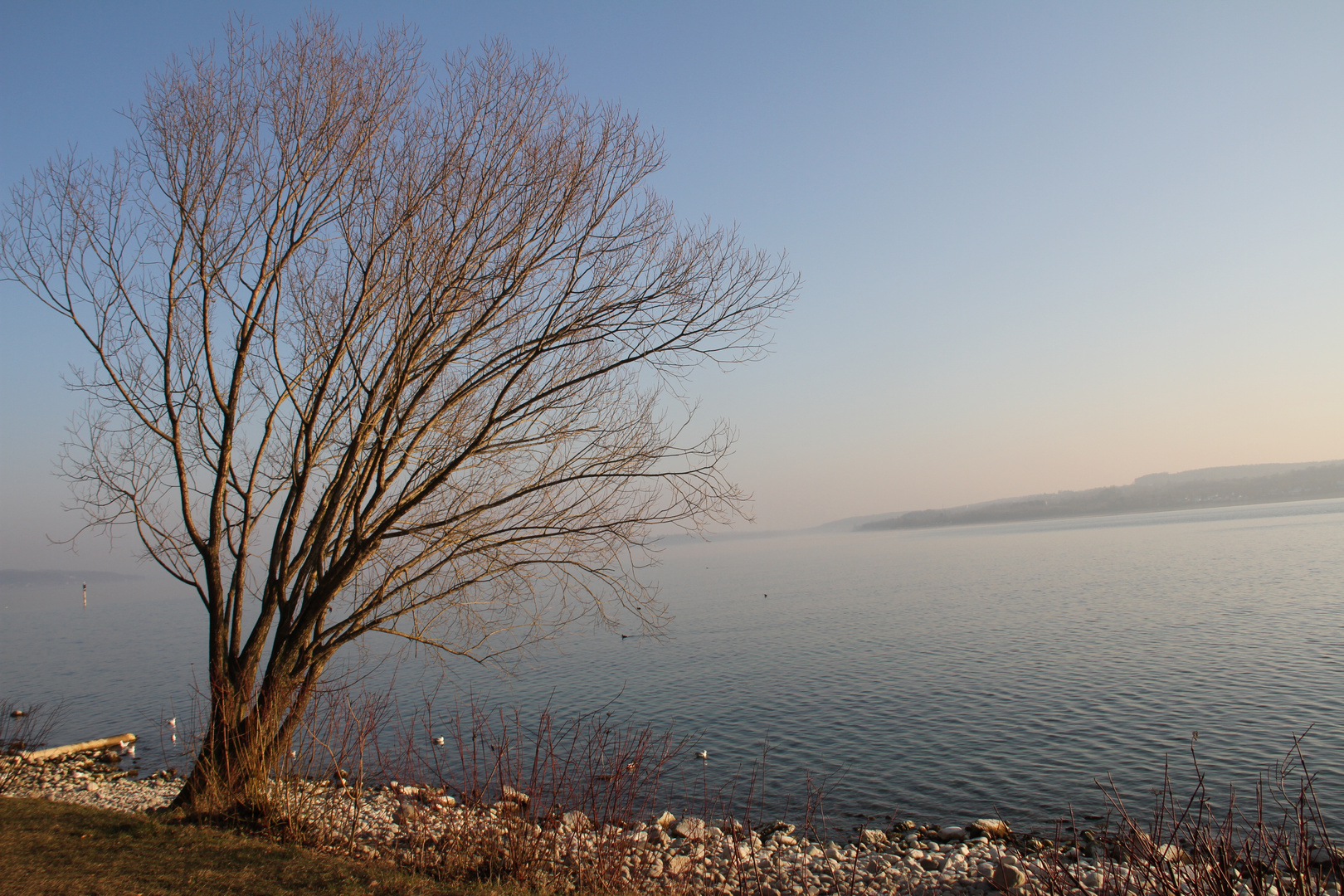 Der Bodensee