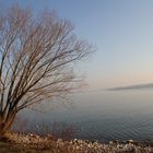 Der Bodensee