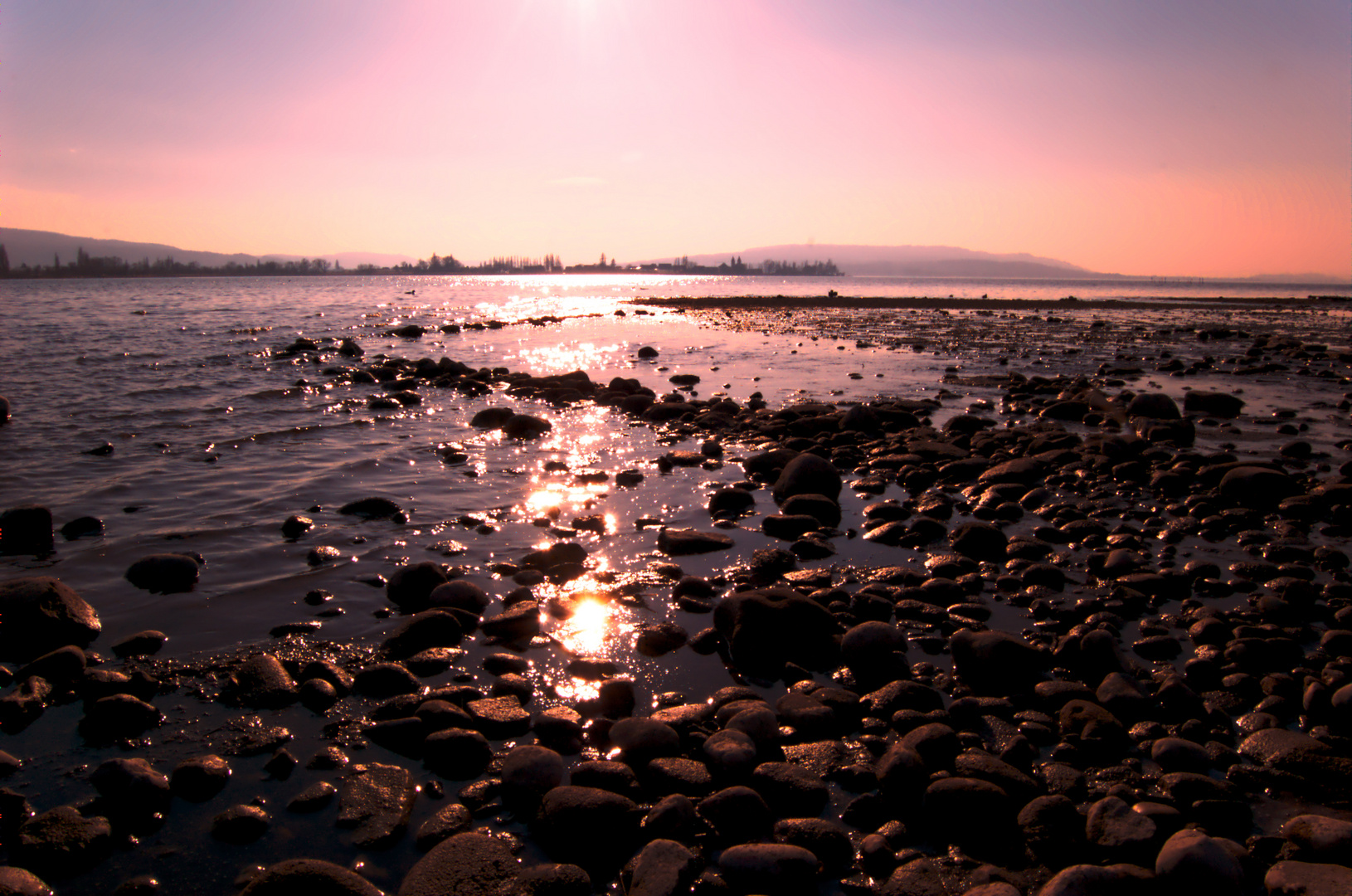 Der Bodensee bei Allensbach