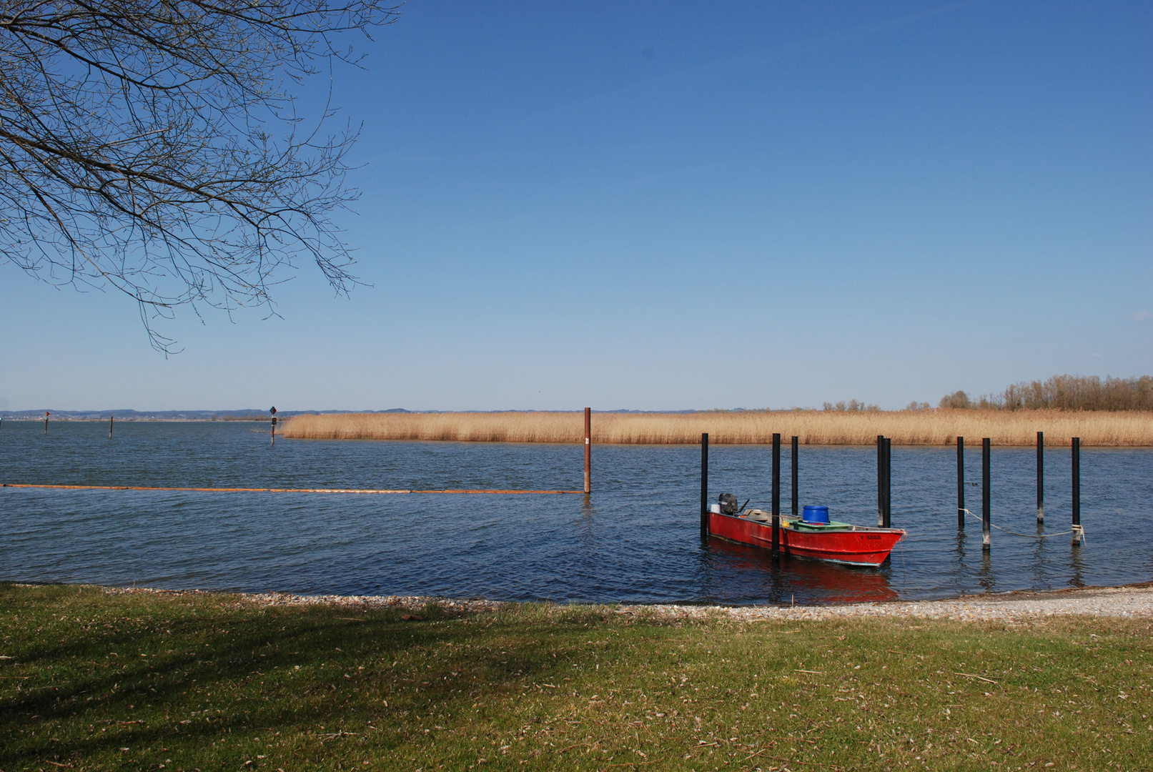 Der Bodensee bei Fussach