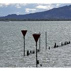 Der Bodensee bei Lindau!