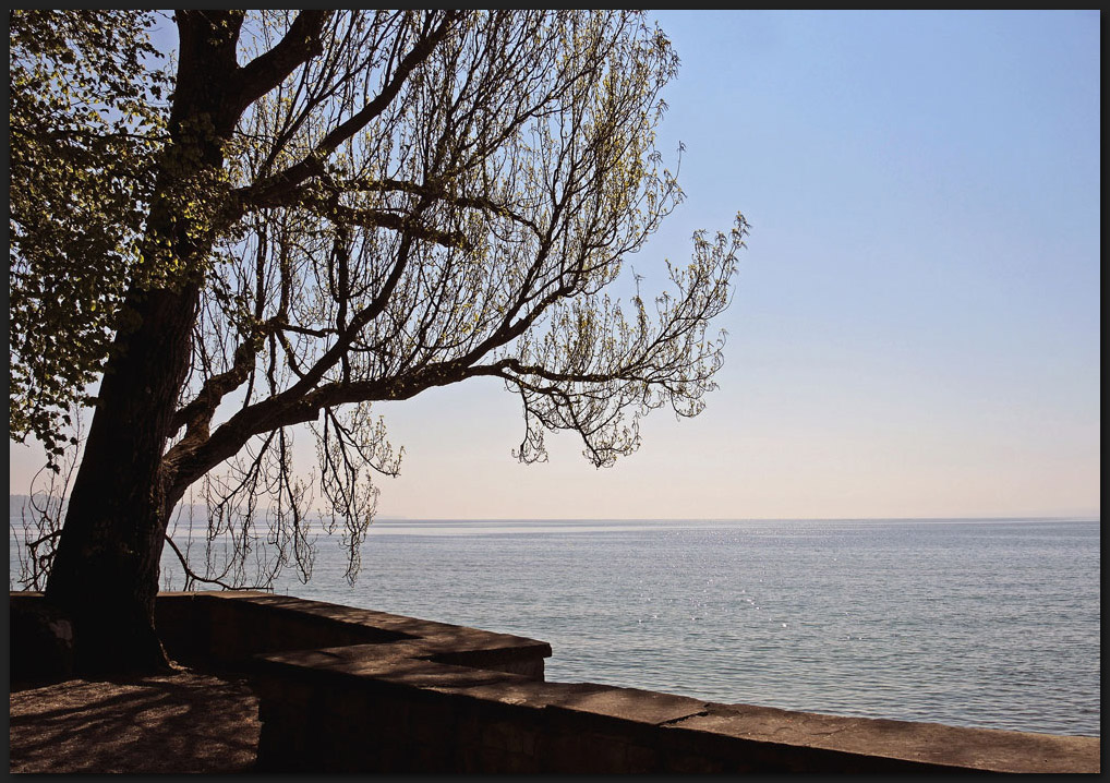 Der Bodensee im Frühling