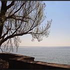 Der Bodensee im Frühling