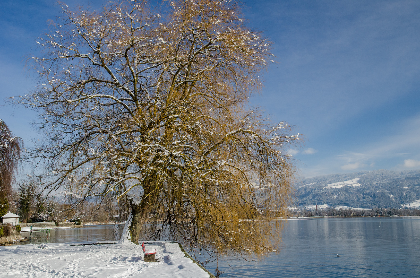 Der Bodensee im Winter