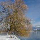 Der Bodensee im Winter