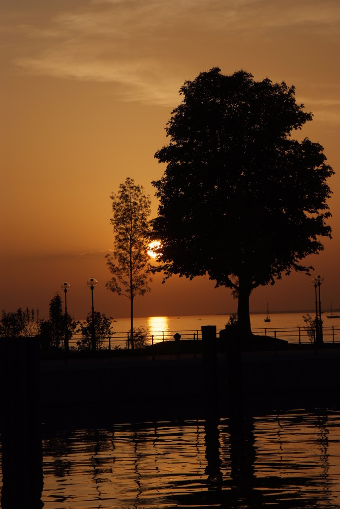 Der Bodensee in der Abendsonne