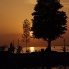 Der Bodensee in der Abendsonne