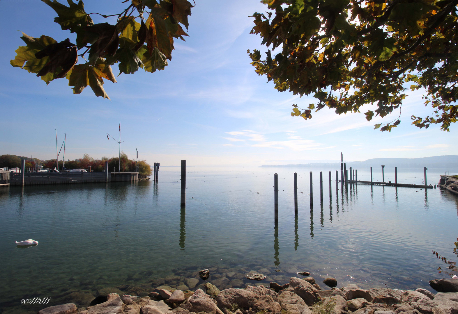 Der Bodensee in Radolfzell