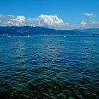 Der Bodensee ist ganz schön blau, ...