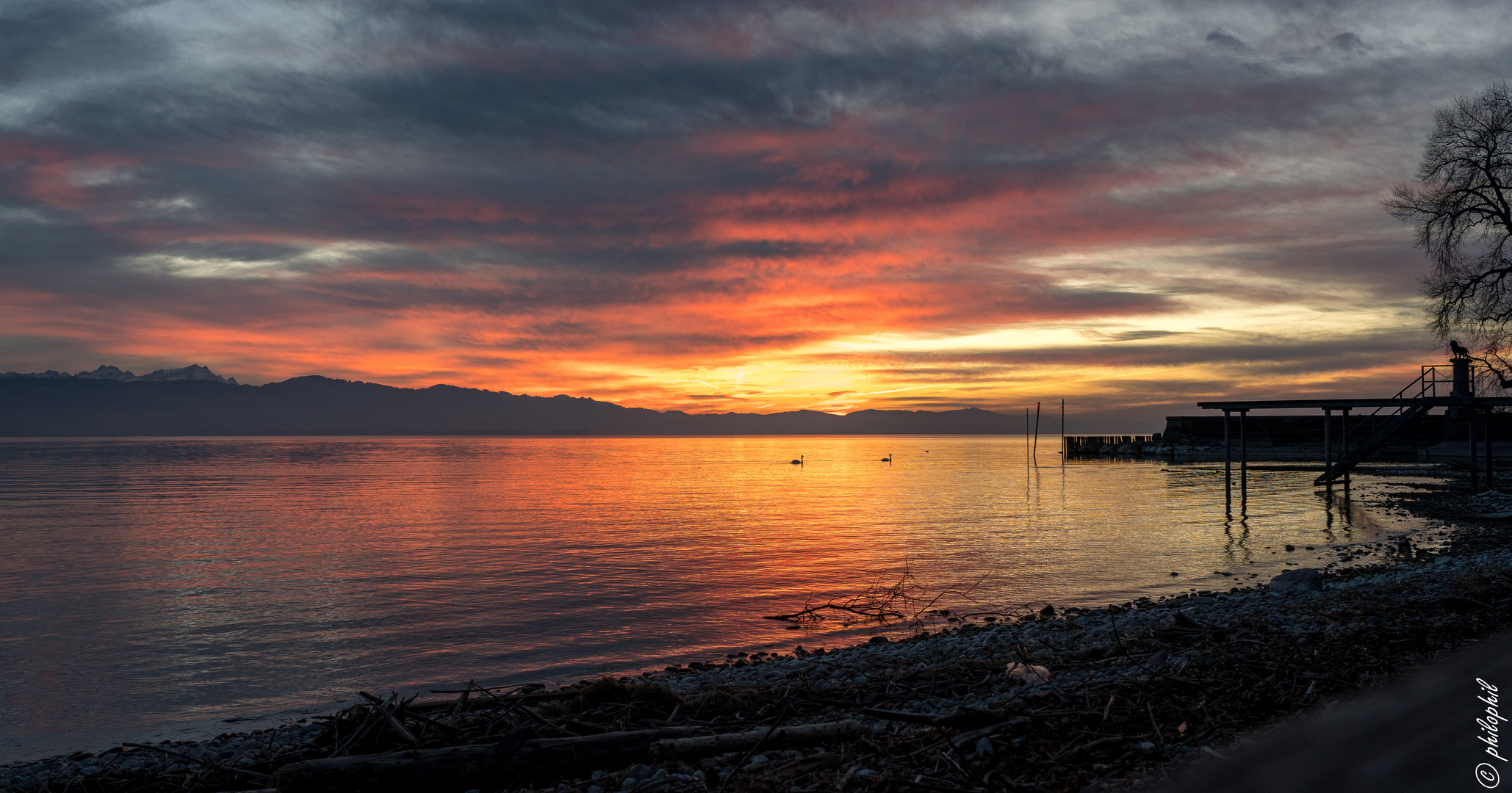 Der Bodensee mit Säntis