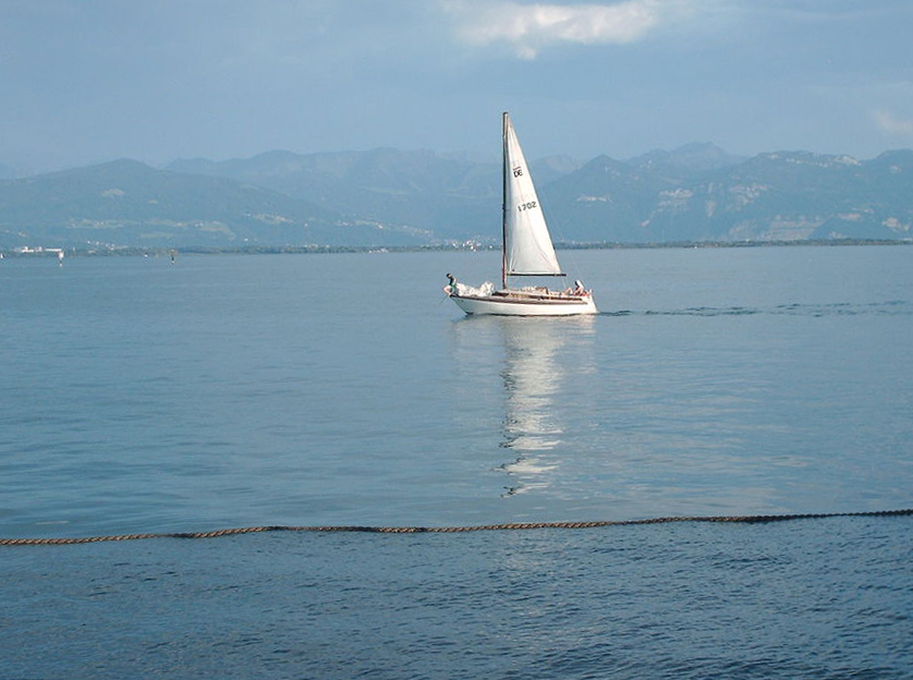 Der Bodensee-Segler