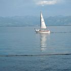 Der Bodensee-Segler