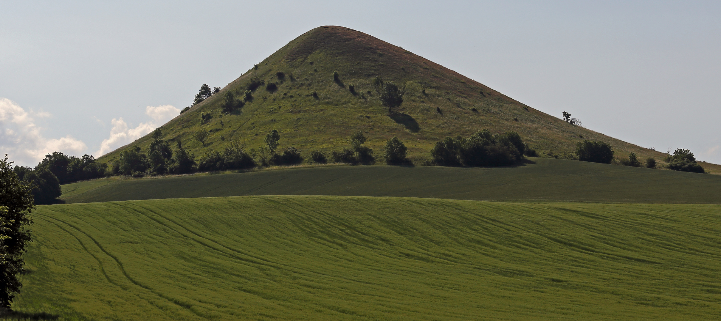 Der böhmische Cicov ein 476m hoher "Grasberg" von Westen gesehen