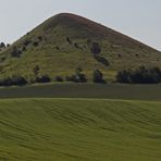 Der böhmische Cicov ein 476m hoher "Grasberg" von Westen gesehen