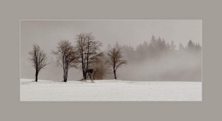 Der Böhmische Wind 1