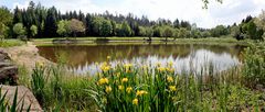 Der Bömbachsee im Bömbachtal...