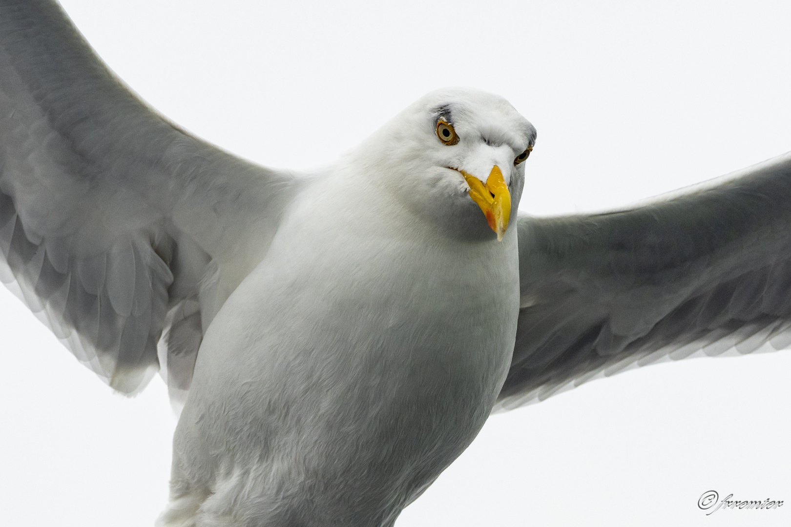 Der böse Blick