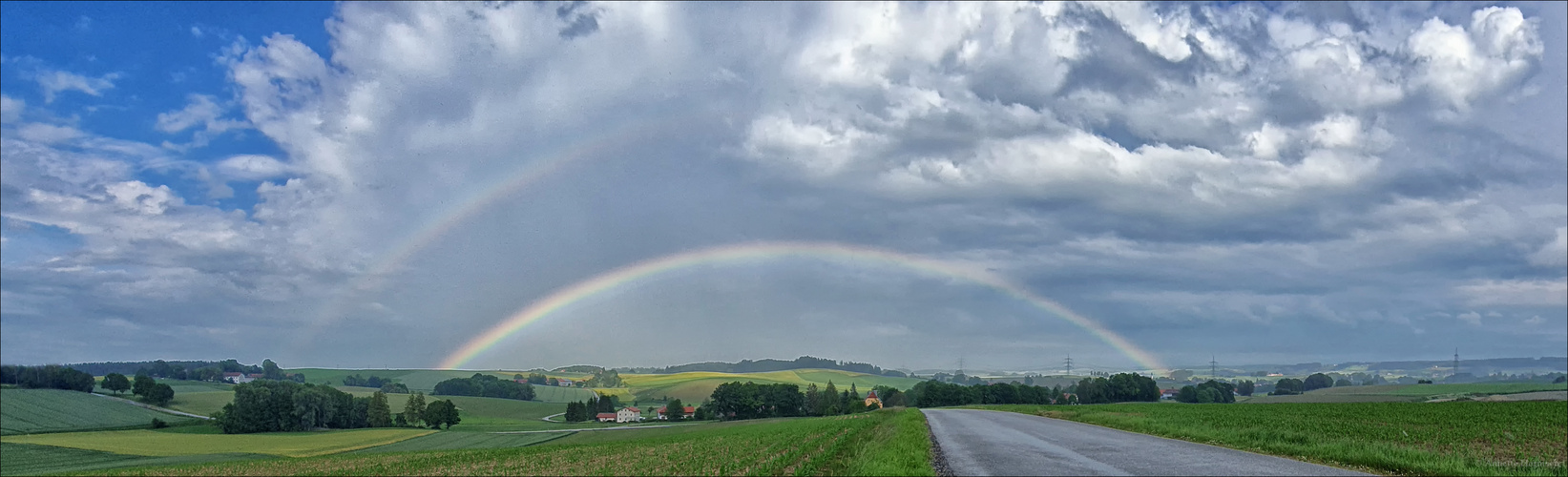 Der Bogen