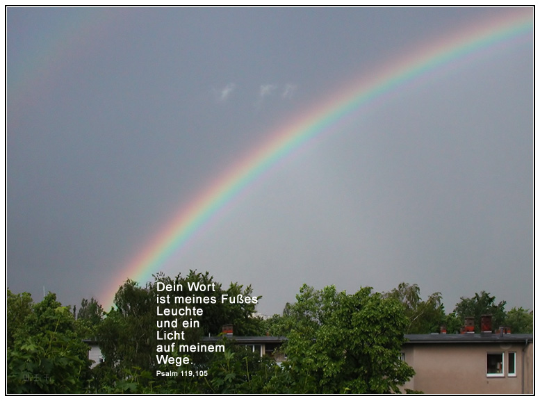 Der Bogen des HERRN (Sonntagsbild | Psalm 119, Genesis 9)