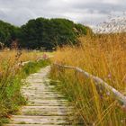 Der Bohlenweg..