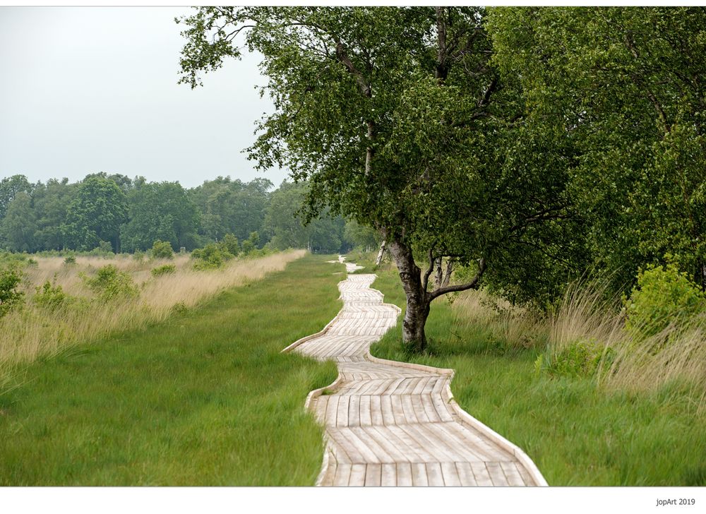 Der Bohlenweg...