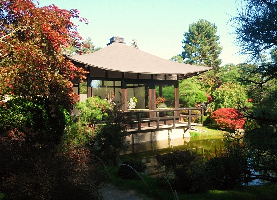 Der Bonsai-Garten in Ferch