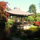 Der Bonsai-Garten in Ferch