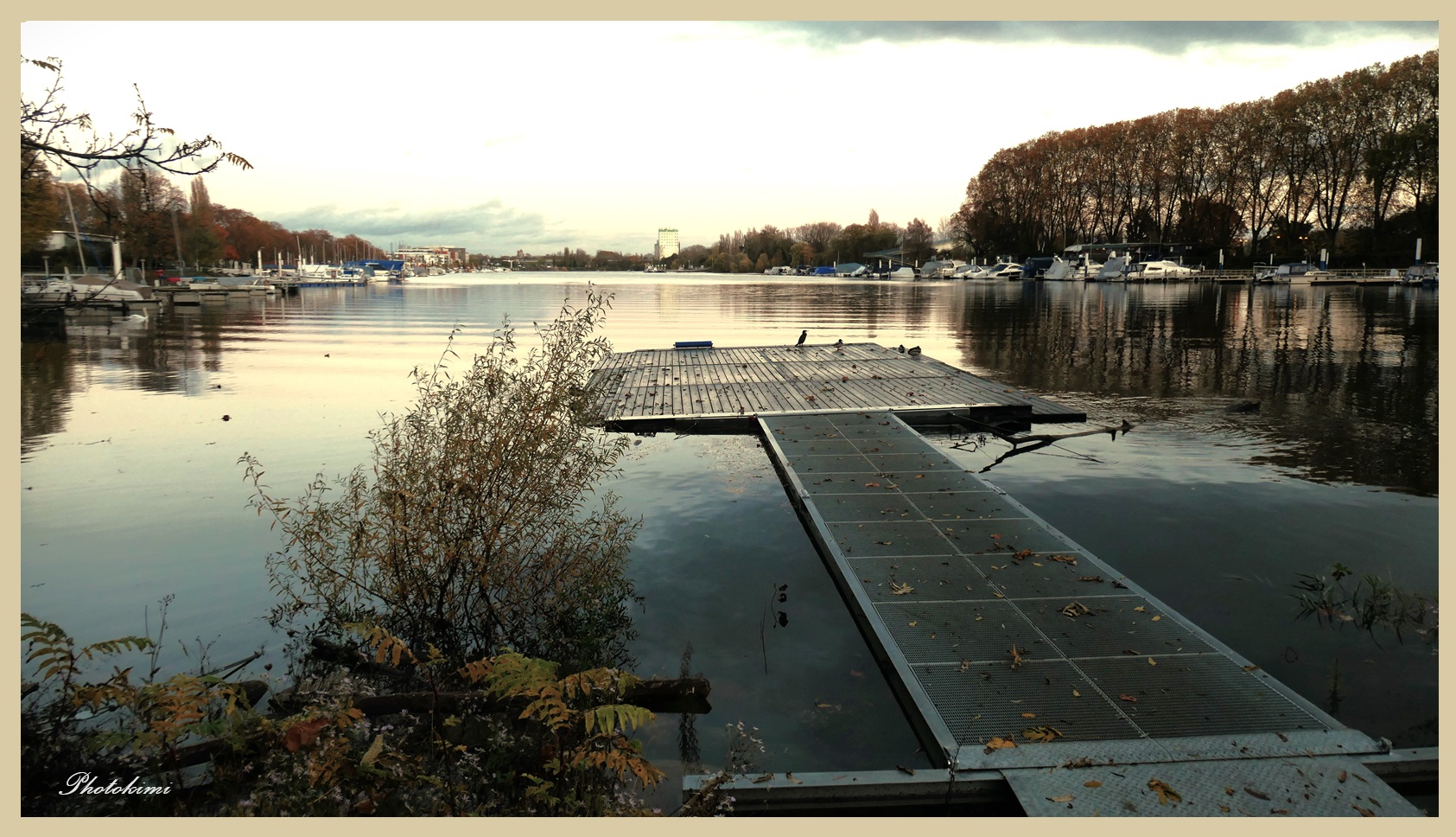 Der Bootshafen Schierstein/Rhein (II)