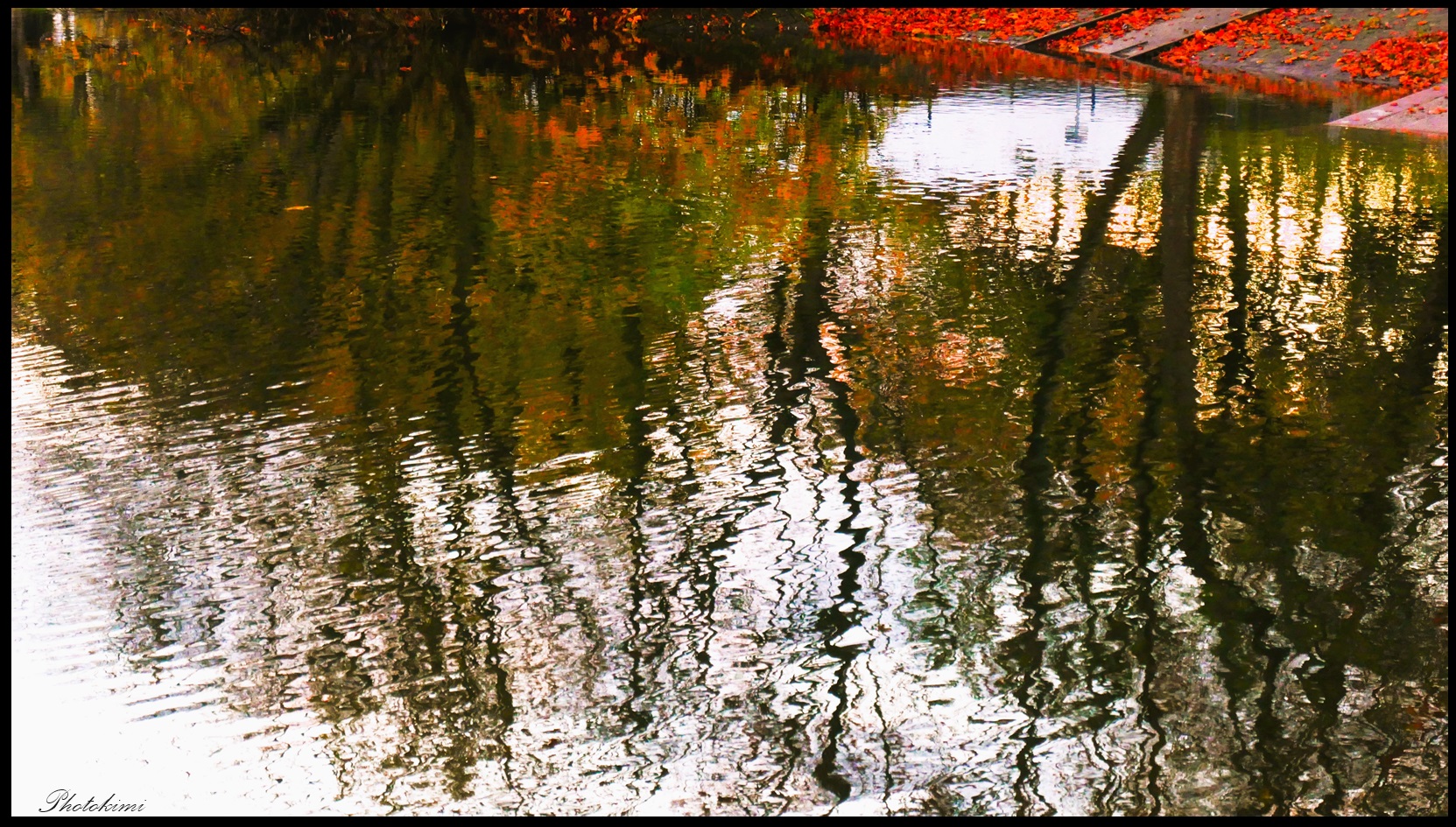 Der Bootshafen Schierstein/Rhein (III)