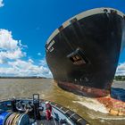 Der Bootsmann,der Schlepper, das Containerschiff