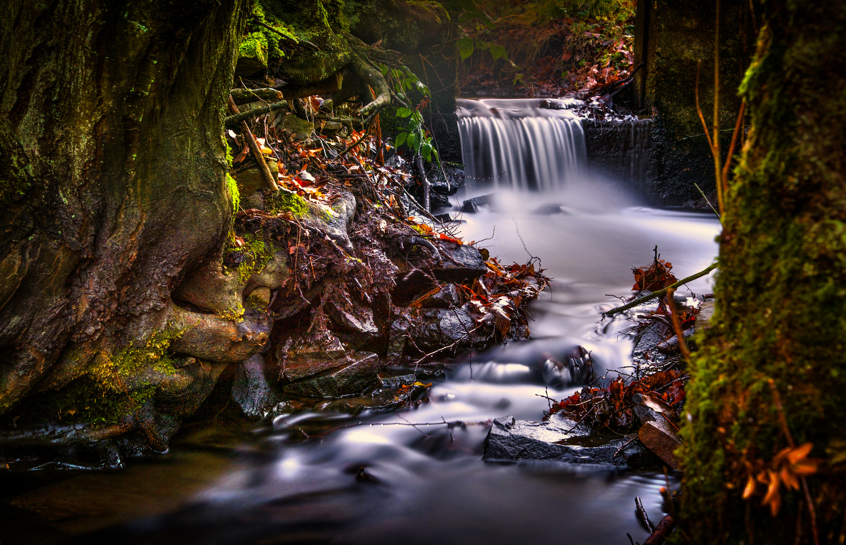 Der Borbach in Witten