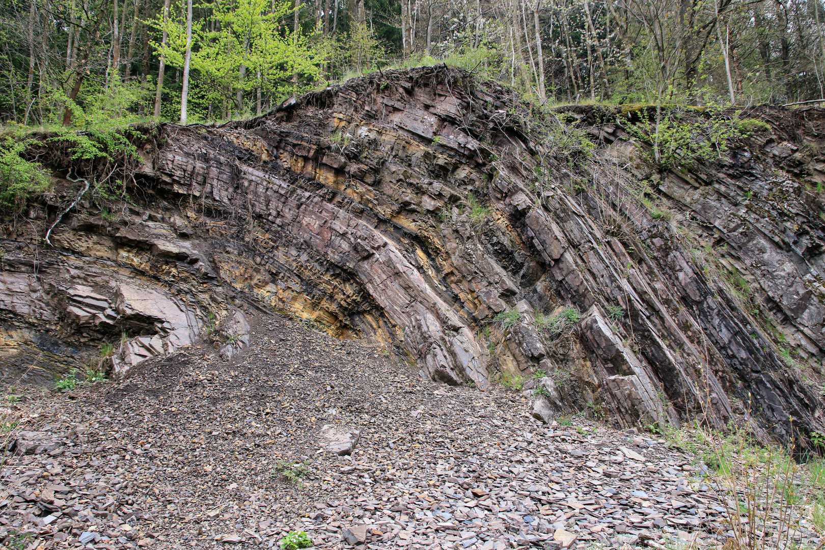 Der Borghagen-Steinbruch bei Düdinghausen 