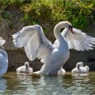 Der Boss und seine Familie