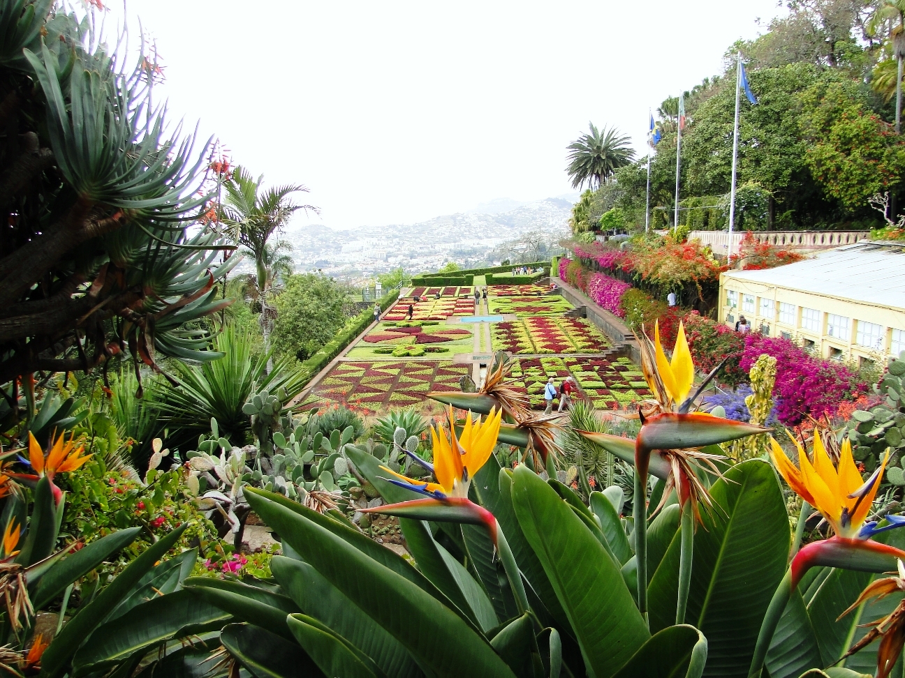 Der botanische Garten auf Madeira