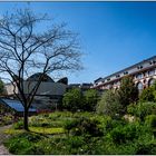 Der Botanische Garten der Uni Basel