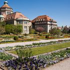 Der Botanische Garten in München - Nymphenburg (1)