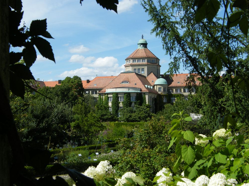 Der botanische Garten in MünchenNymphenburg Foto & Bild