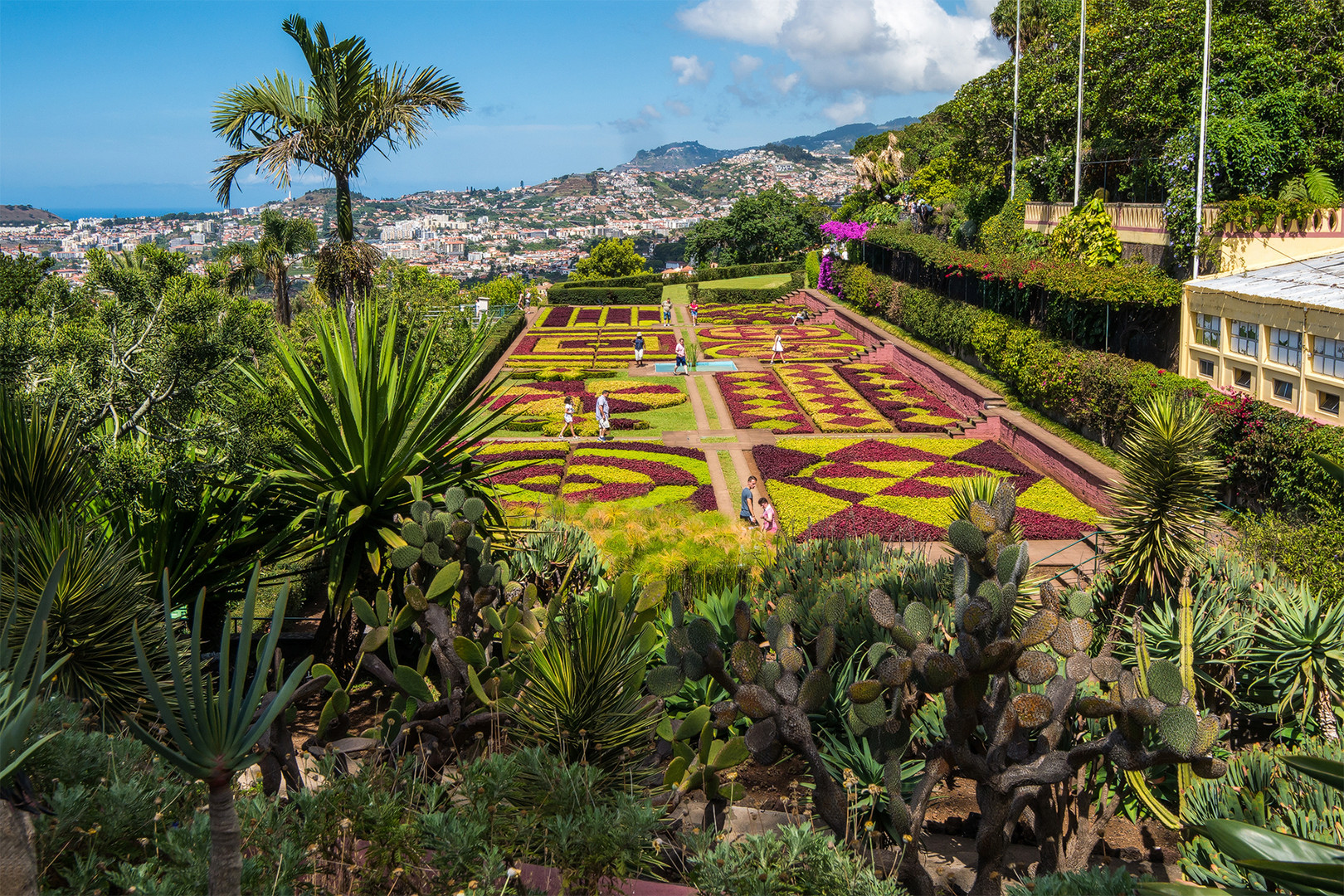 Der botanische Garten von Funchal....