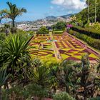 Der botanische Garten von Funchal....