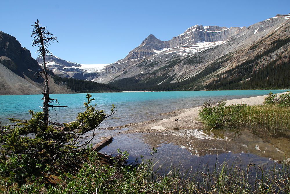 Der Bow Lake am Icefield Parkway...