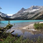Der Bow Lake am Icefield Parkway...