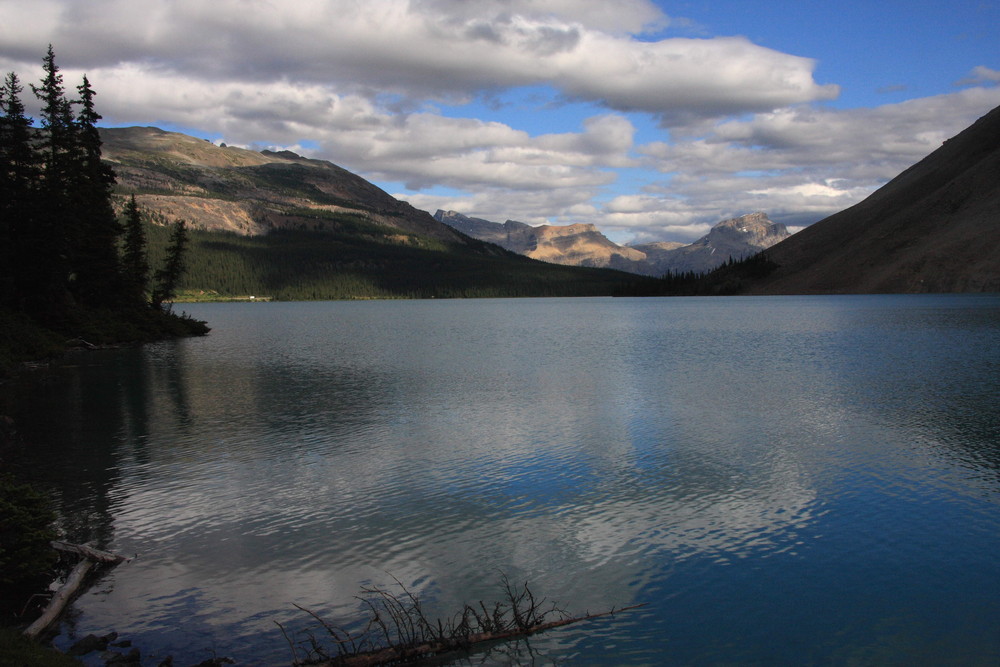 der Bow Lake im Banff Nationalpark