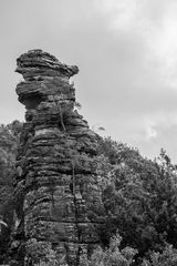 der Bräutigam im Dahner Felsenland