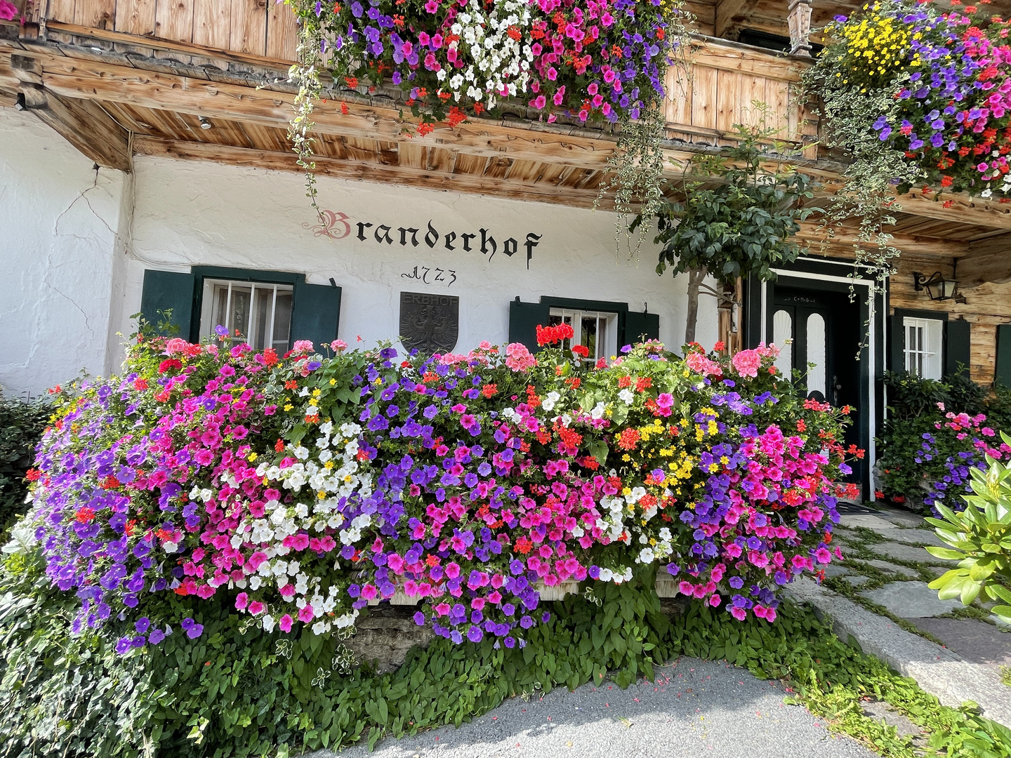 Der Branderhof in Aurach ein einziges Blumenmeer