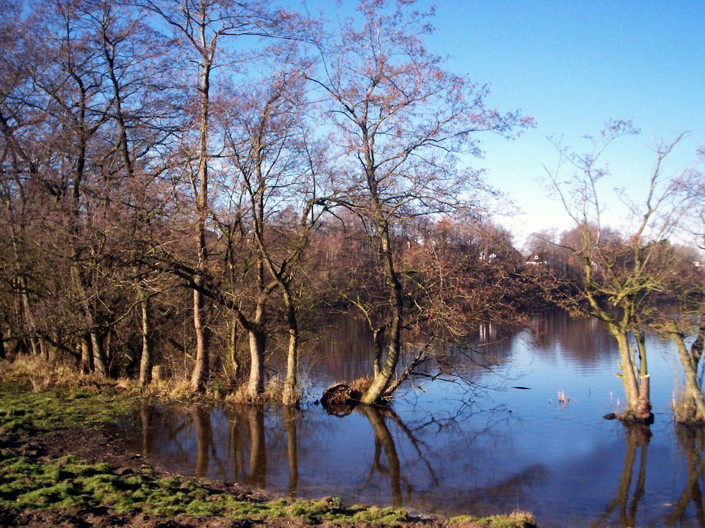 Der Brautsee