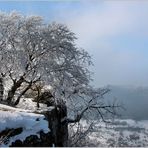 DER BREITENSTEIN