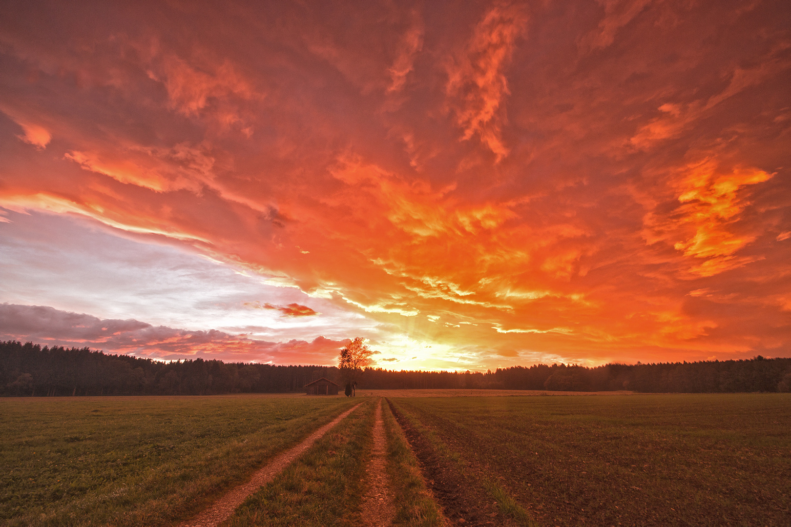 Der brennende Weg 